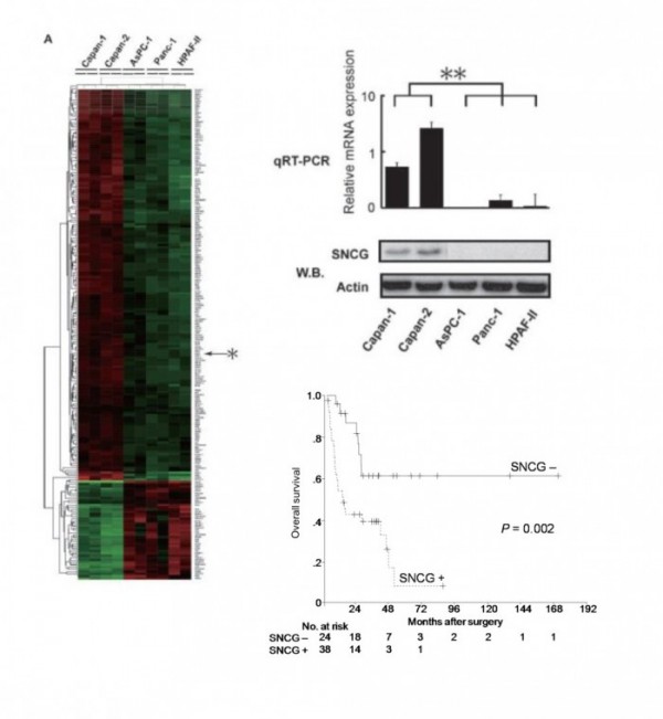 150625_biomarker