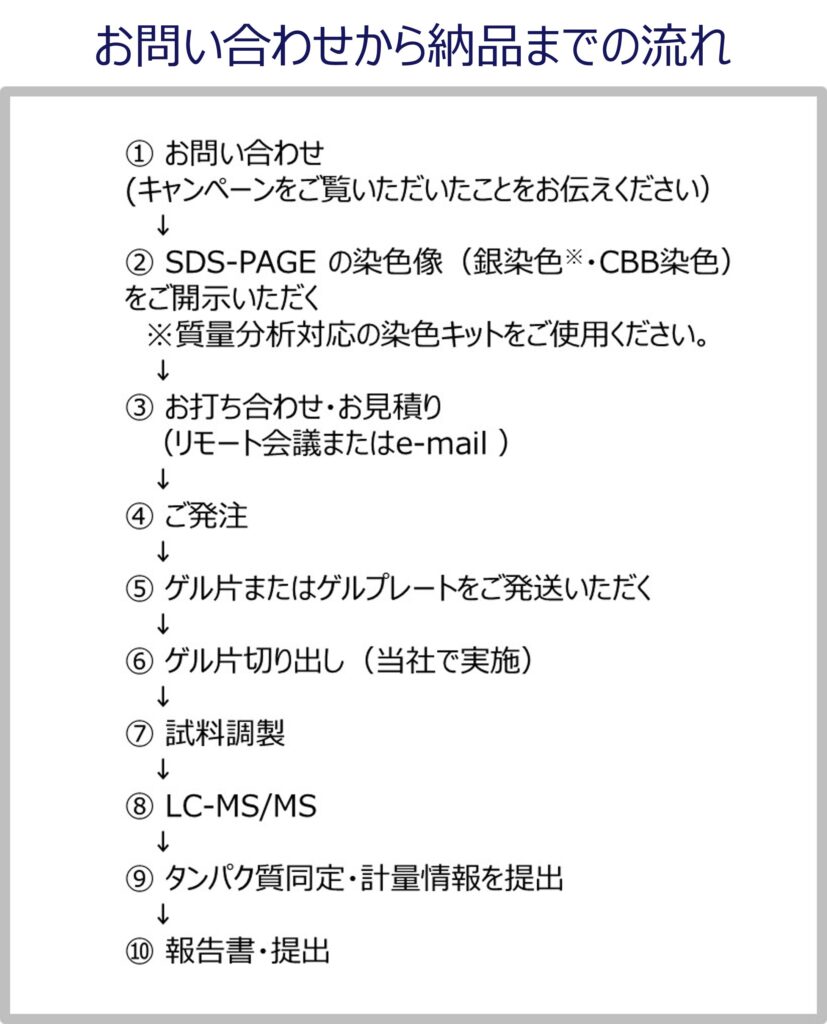 ① お問い合わせ
(キャンペーンをご覧いただいたことをお伝えください)
↓
② SDS-PAGE の染色像(銀染色※・CBB染色)
をご開示いただく
※質量分析対応の染色キットをご使用ください。
↓
③ お打ち合わせ・お見積り
(リモート会議またはe-mail )
↓
④ ご発注
↓
⑤ ゲル片またはゲルプレートをご発送いただく
↓
⑥ ゲル片切り出し(当社で実施)
↓
⑦ 試料調製
↓
⑧ LC-MS/MS
↓
⑨ タンパク質同定・計量情報を提出
↓
⑩ 報告書・提出