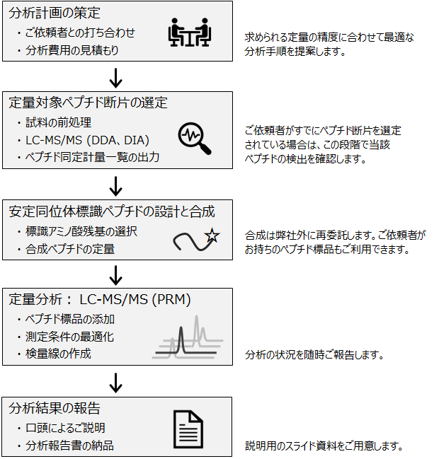 定量分析の工程